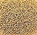 Miyuki Round Seed Bead Size 15/0 8.2g-Tube Galvanized Gold