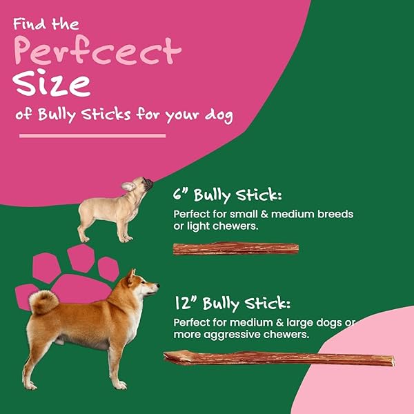 WILLOW & I BULLY STICKS FOR DOGS -6 INCH NATURAL BULLY STICKS FOR MEDIUM DOGS, SMALL & LARGE- PREMIUM 100% GRASS FED, SINGLE INGREDIENT, LONG LASTING, HIGH PROTEIN-GRAIN & RAWHIDE FREE (6″, 6 PACK)