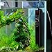 25W Betta Fish Tank Heater, Smart Thermostat Submersible Small Mini Aquarium Heater, Anti-Explosion/Energy-efficient Water Temp Controller Easy to Use for 1-5 Gallon - Gift with 2 Artificial Plants