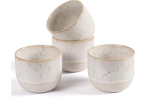 ZEBERBO Ceramic Espresso Cups Set of 4, Double Walled Espresso Coffee Mugs for Nespresso Cups, Special glazed Demitasse Cups 