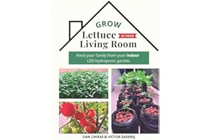 Grow Lettuce in Your Living Room: Feed Your Family from your Indoor LED Hydroponic Garden