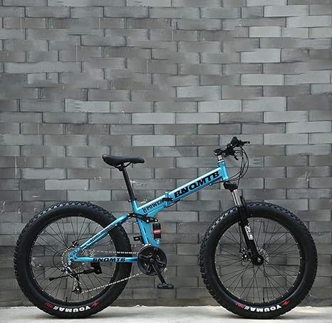 city fat bike