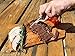 Plastic Disposable Steak Fork By Shark-Tooth (designed with the longest tines on the market) (45)