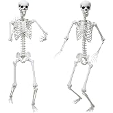 Halloween Skeleton Decorations,5.9Ft Life Size Skeleton 2PCS Posable Skeleton Full Size Plastic Human Skeleton with Movable Joint for Halloween Outdoor Indoor Decor (Grey, 5.9Ft)