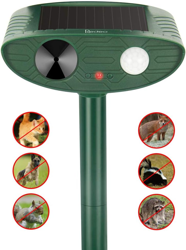 Best Motion Sensor Deterrent Garden Decor