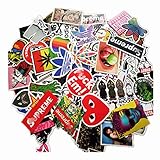 NIANPU 100 Pieces Waterproof Vinyl Stickers for Personalize Laptop, Car, Helmet, Skateboard, Luggage Graffiti Decals (D - Section)