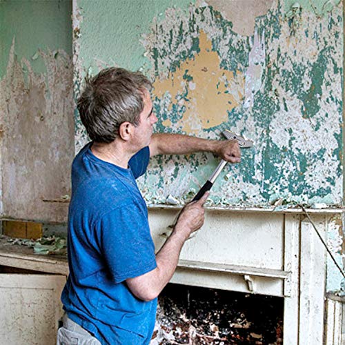 6 ORIENTOOLS+Long+Handle+Cleaning+Painting+Stripping