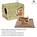 SunGrow Rabbit Pine Chew Log, 8 Inches, Raw Lumber, Molar Teeth Care Toy, Provides Physical and Psychological Benefits, Ideal for Hamster, Guinea Pig, Sussex, Lop and Chinchilla
