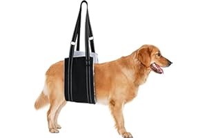 ARZQUT Dog Sling for Back Legs, Dog Sling for Large Dogs Hind Leg Support Adjustable Dog Sling, Dog Support K9 Dog Lift Harness, Helps Senior Dog, Lnjured, After ACL Surgery Rehabilitation (Medium)