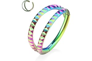 Yrogcu 20G 18G 16G 14G Single/Double Hoop Stainless-Steel Seamless-Hinged-Piercing Segment-Clicker Nose-Ring-Hoop : Diameter 6mm 8mm 10mm 12mm Cartilage Earrings