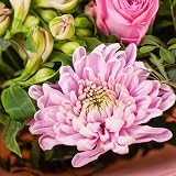 All Occasions Strawberries & Cream Bouquet Fresh Flowers for Mother's Day view 3