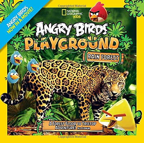 Angry Birds Playground: Rain Forest: A Forest Floor to Treetop Adventure