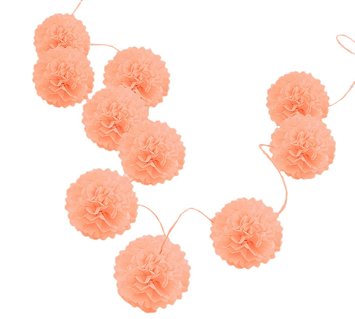 Pack of 10 Tissue Paper Flower Ball Pom pom Party Decoration Indoor Outdoor 6" 8" 10" 12" 14" (Peach, 10")