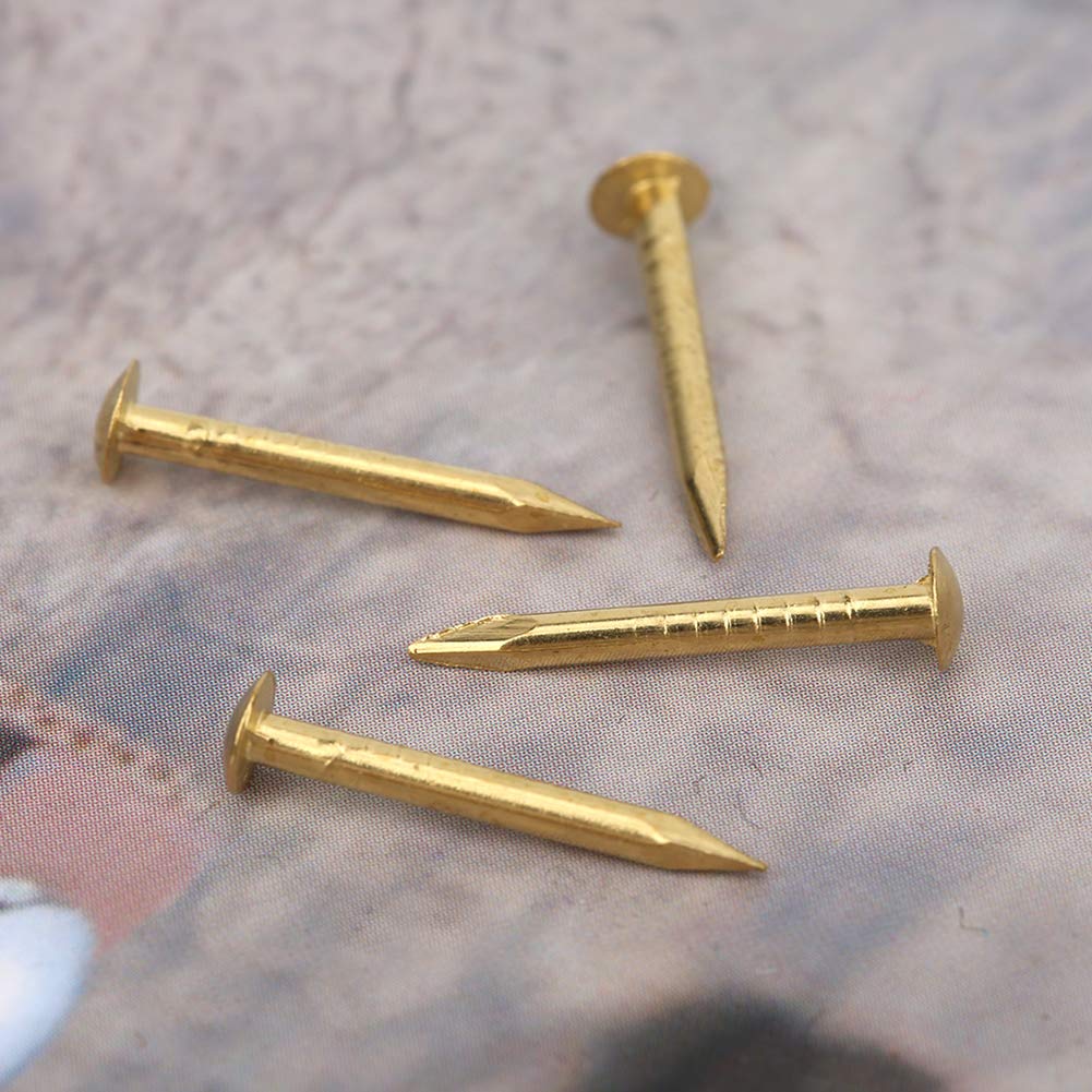 100 PCS Vintage Brass Round Head Nails Hardware Assortment Kit for DIY Craft Projects Home Decor Installation (15mm)