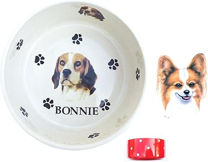 Bb47 En Céramique Personnalisé Chien Papillon Nourriture