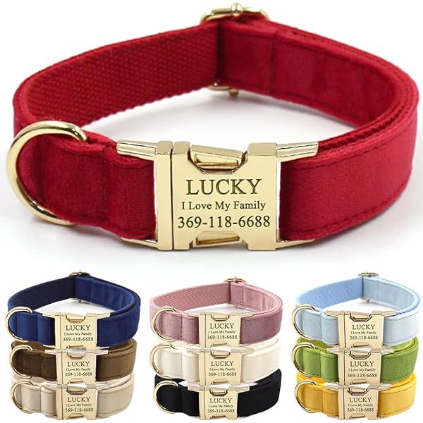 andreas custom collars