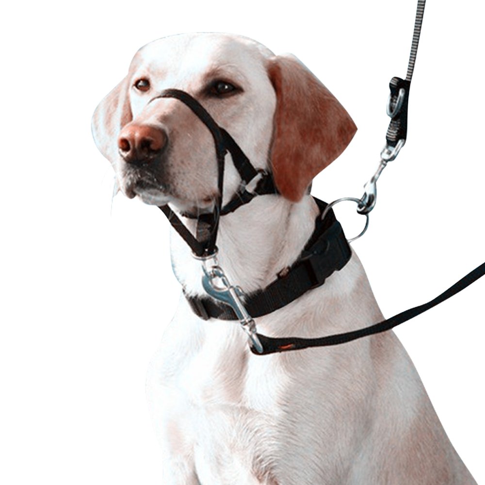 Eastop Dog Head Halter Combination 4 Parts Dog Head Collar Dog