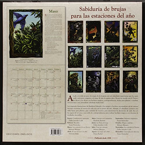Buy Calendario 2014 de las brujas (AGENDAS) (Spanish Edition) Free