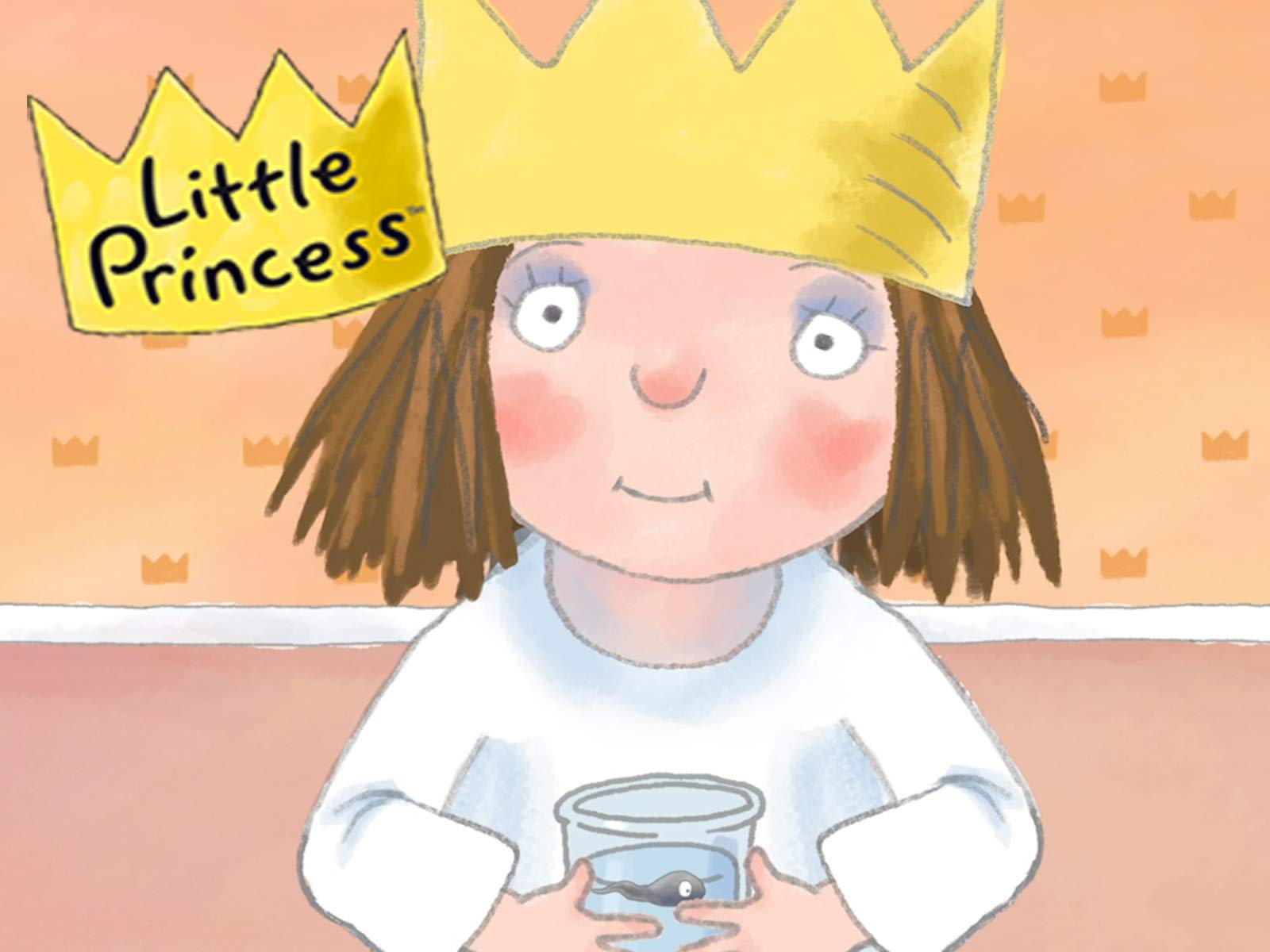 Amazon.de: Kleine Prinzessin ansehen | Prime Video