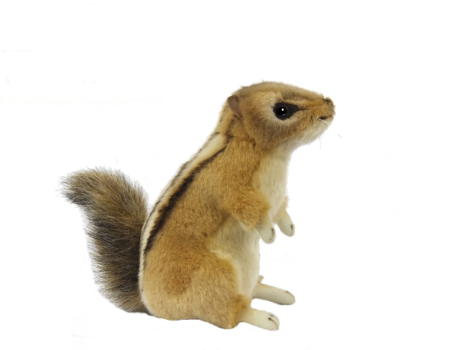 Hansa 8206 Chipmunk 23cm.L