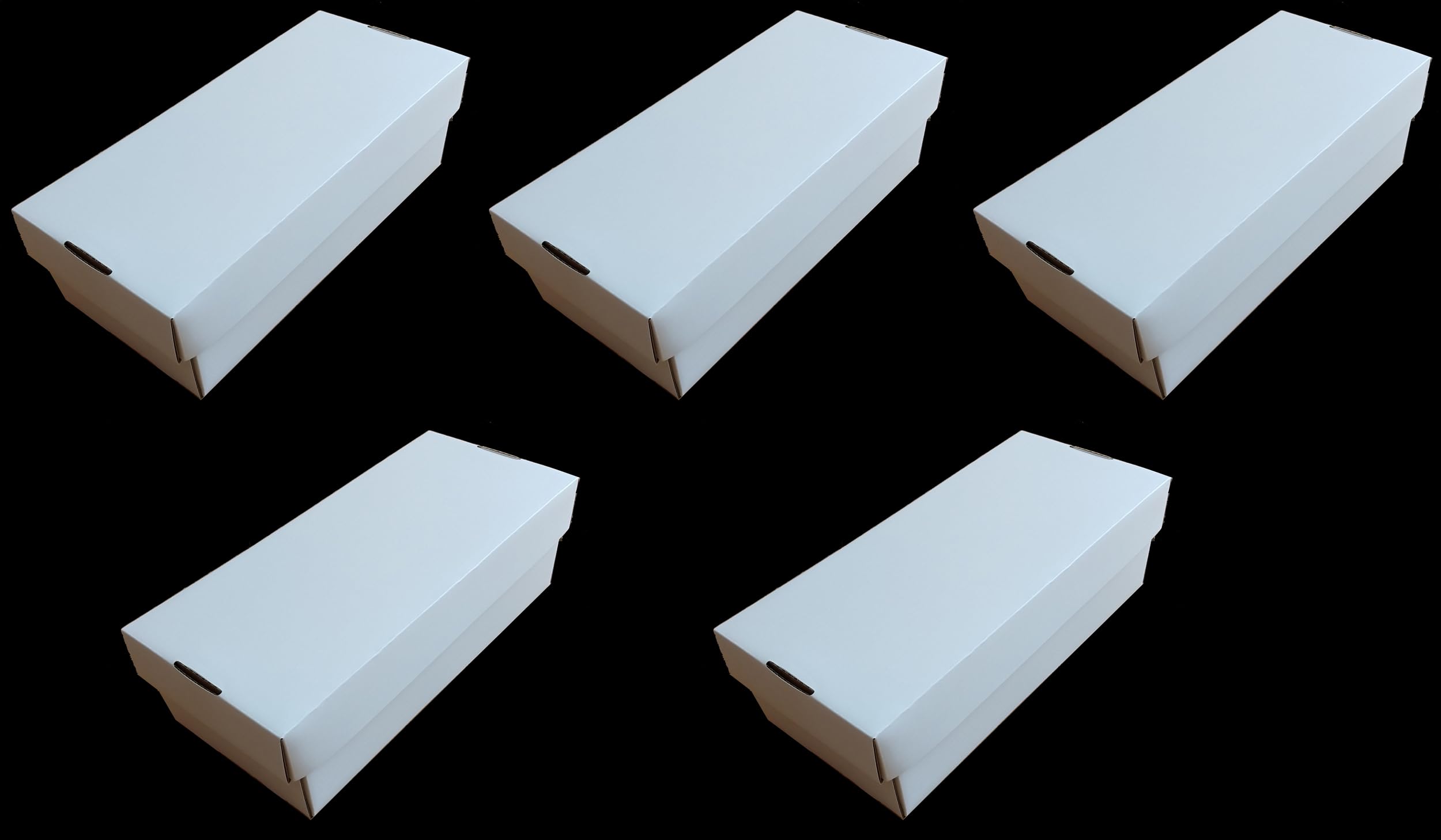 docsmagic.de 5x 2-Row Trading Card Storage Box - Holding 2500 Standard Size Cards