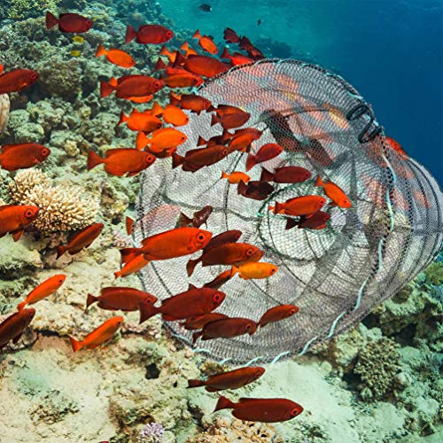 RUNACC Folded Fishing Net Trap, Portable Zipper Bait for Shrimp Carp Crayfish Crab Baits Cast Mesh Trap, 23.6 x11.8 inches (23.6" x 11.8")