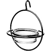 Monarch Abode Hanging Bird Feeder for Outdoors – Hanging Zazu Birdfeeder with Clear Glass Bowl & Metal Perch for Small Birds, Matte Black Decorative Wild Bird Feeder for Outside Garden Patio Deck Yard