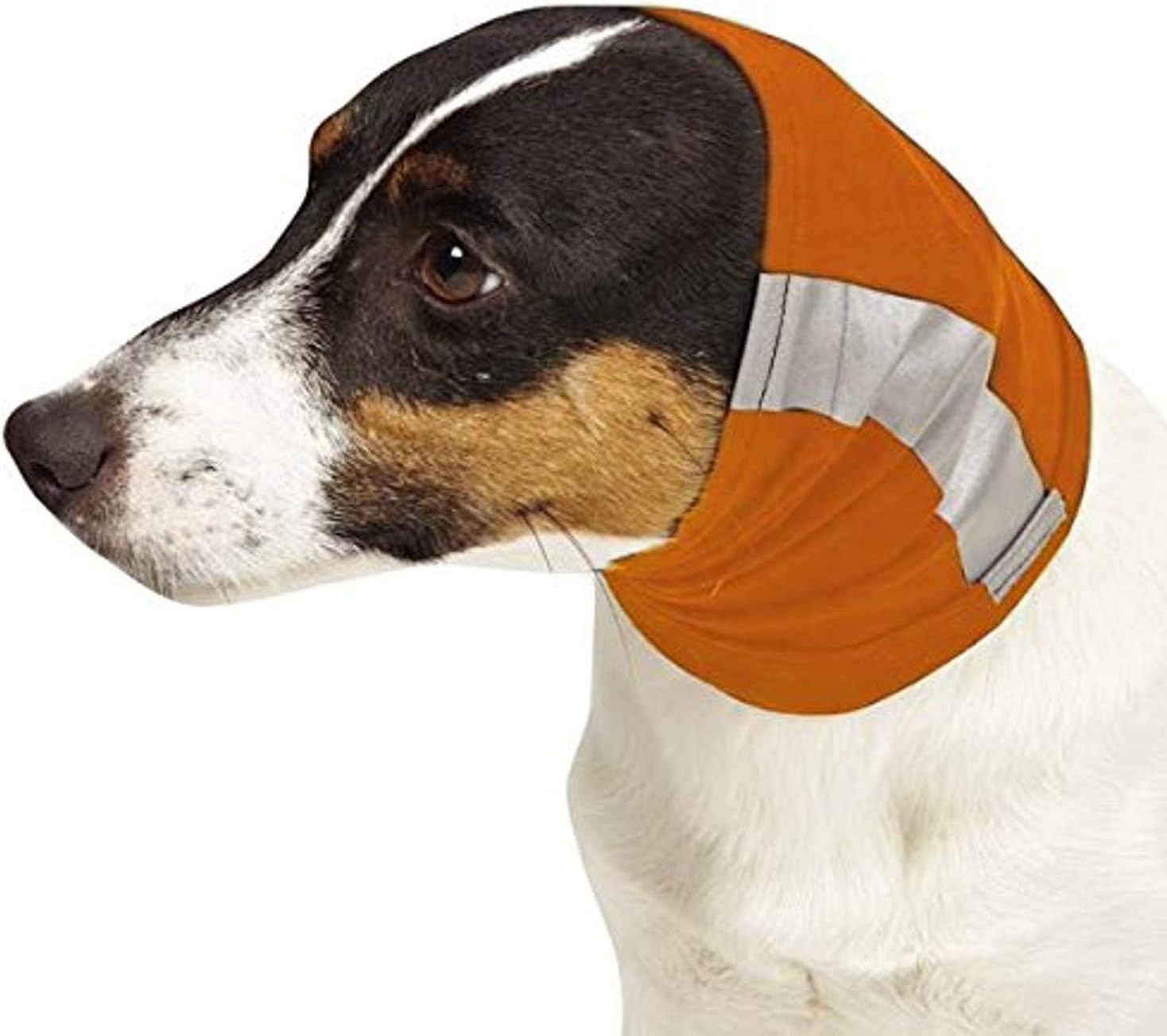 insect shield dog loop