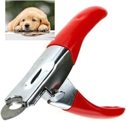 Coupe Griffes Pour Chien Chat Kaka Malla Coupe Ongle Professionelle Outil De Toilettage Rouge Amazon Fr Bricolage