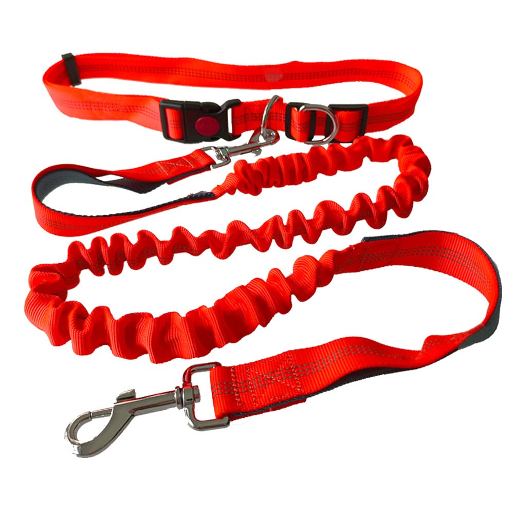 QitinDasen Hands Free Dog Lead, Adjustable Belt and Double Handle Retractable Elastic Lead, Jogging Dog Lead with Reflective Stitching (Grey Handle)