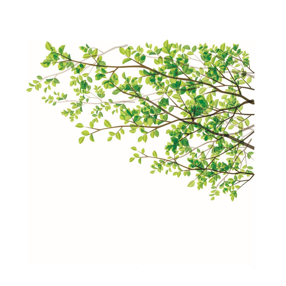 Frosted Cling Screen Translucent Glass Window Film Sticker for Bathroom Living Room 60cm x 58cm - Green Colored Plant Leaves Vine Branches