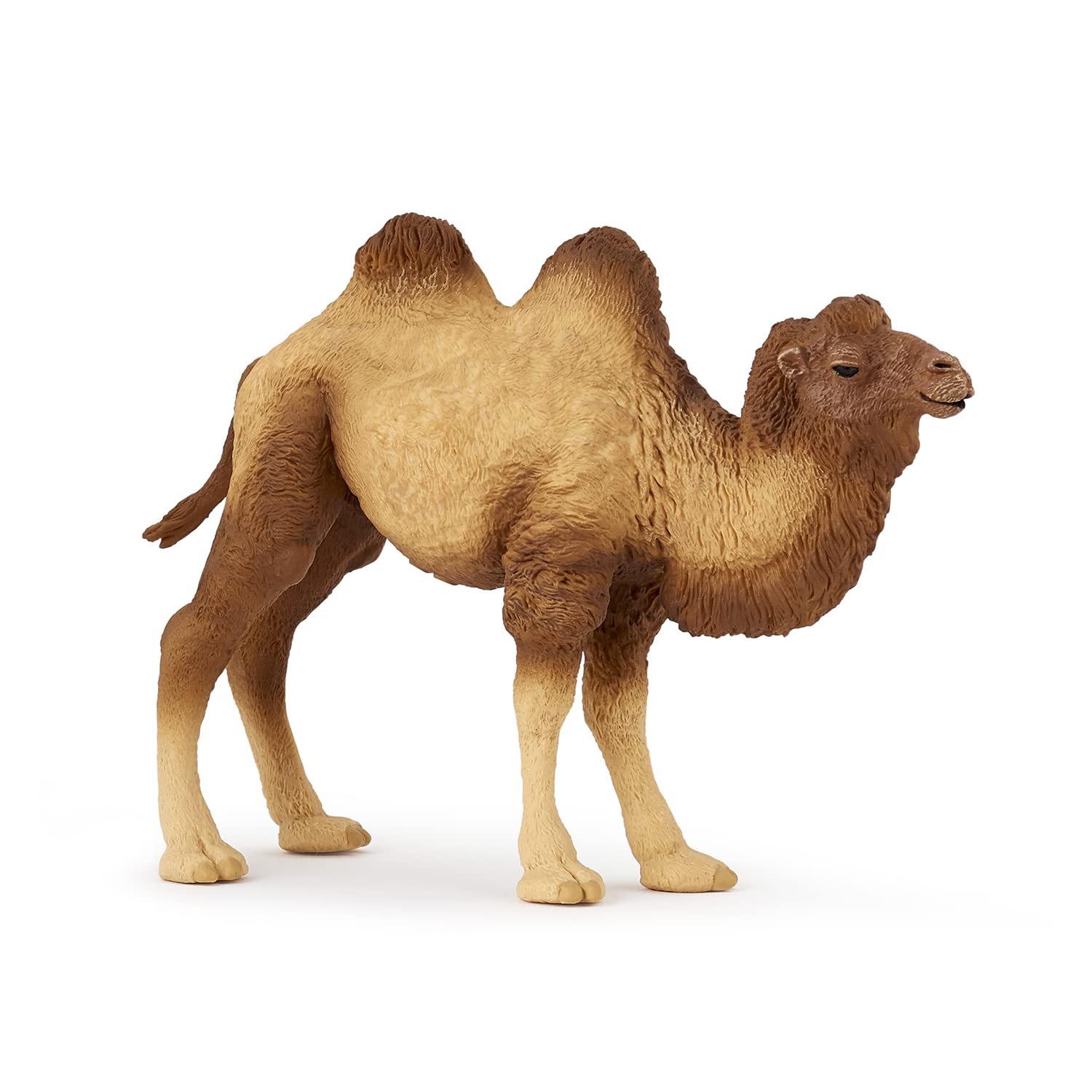 Papo - Realistic Bactrian Camel Figure Toy for Kids - Ages 3+ - Wild Life Collection - Educational Play Exotic Animals - Gift Idea Toy for Girls and Boys - 11.8 Cm