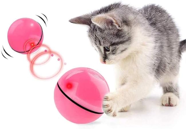 self rolling ball for cats