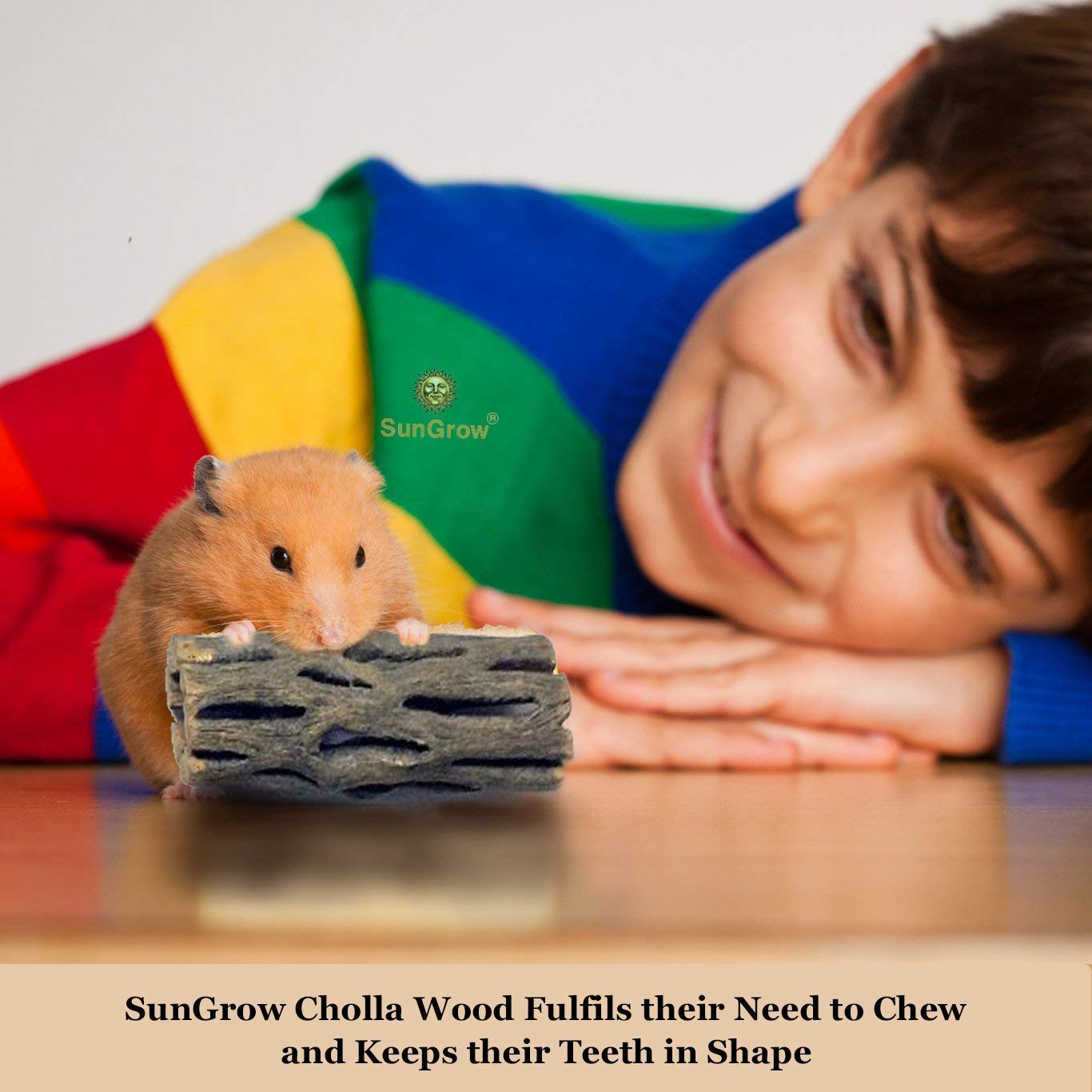 6-pcs Natural Cholla wood for Hamsters by SunGrow - 100% Organic soft wood, Non-Toxic, Pesticide-Free, Thorn-free - Chew toy for ferrets, guinea pigs, gerbils, mice, chinchillas - Perfect for climbing