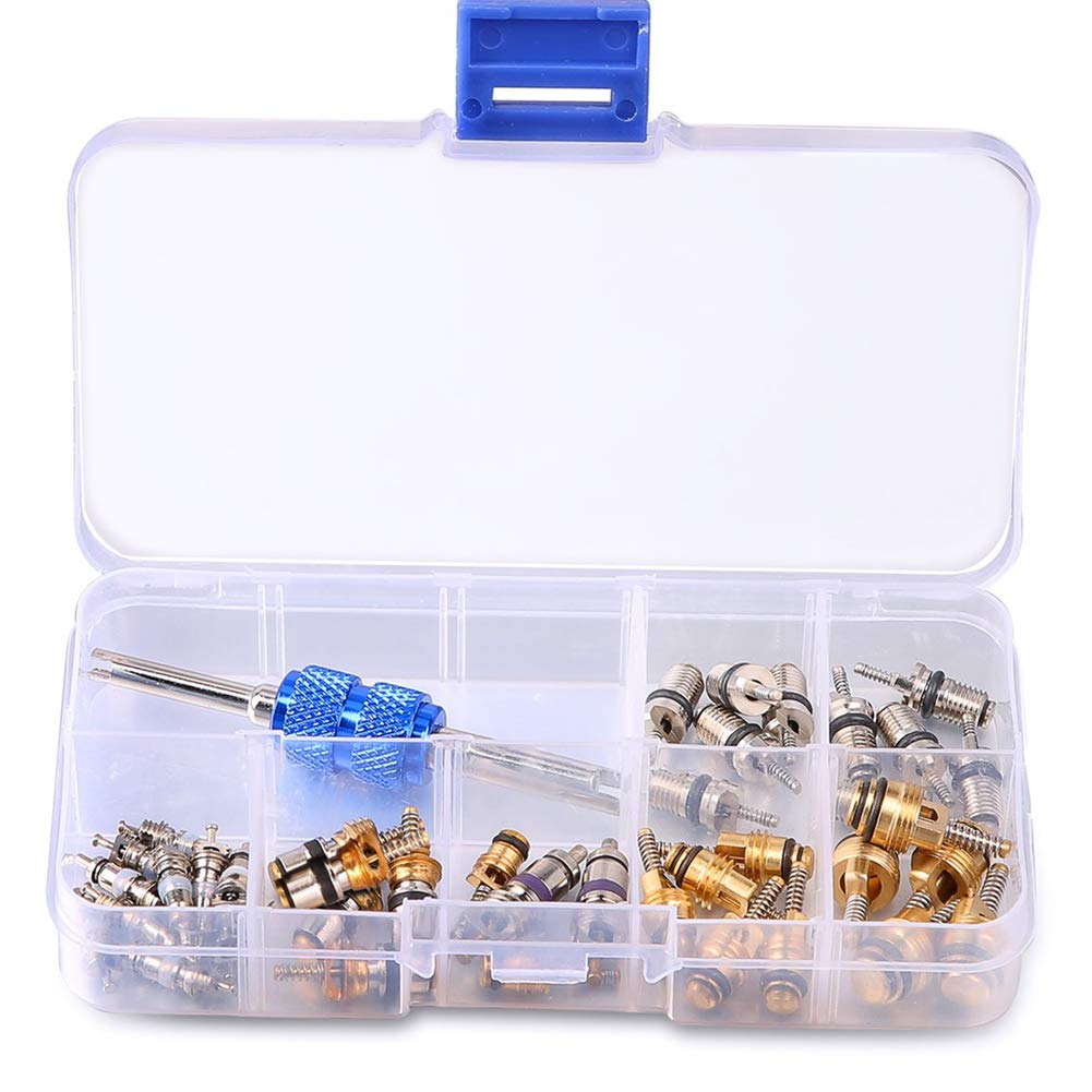 WeFoonLo 39pcs Car Refrigeration A/C Valve Core Kit R12 R134A Automotive Air Conditioning Tire Valve Stem Cores with Removal Tool Assortment