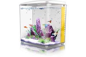 FREESEA 1.2Gallon Betta Aquarium Starter Kits Square Fish Tank with LED Light and Filter Pump