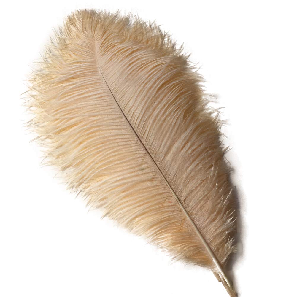 Sowder 10pcs Ostrich Feathers 12-14inch(30-35cm) for Home Wedding Decoration (champange)