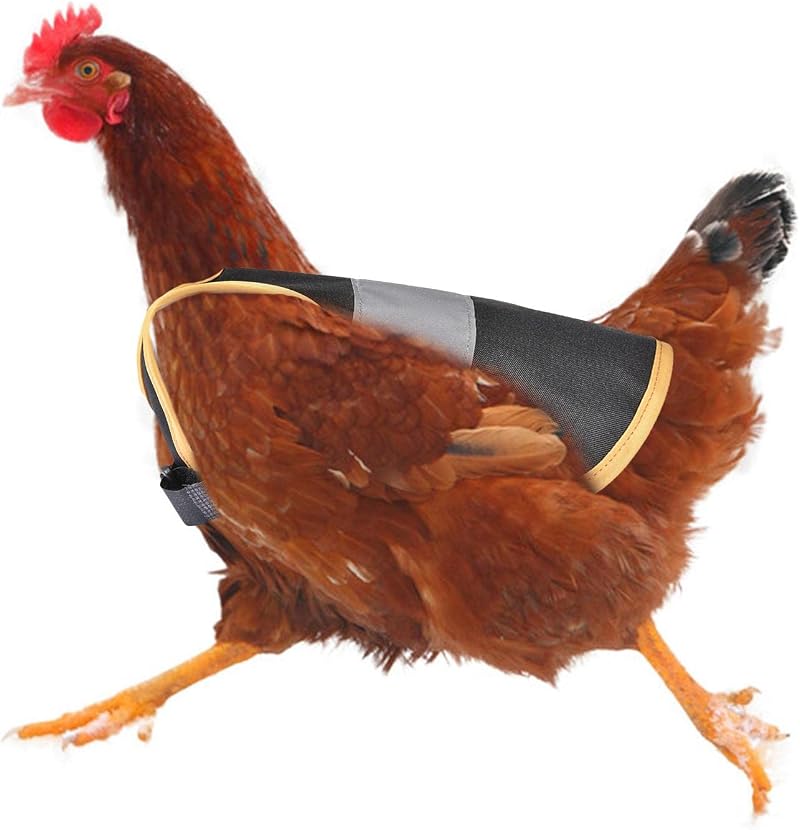 Pratvider Chicken Saddle Hen Poultry Apron Elastic Strap Protection Suit Black