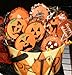 Designer Stencils Pumpkin Halloween Faces Cake Stencils, Beige/semi-transparent