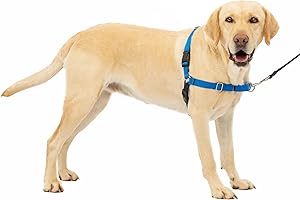 PetSafe Easy Walk No-Pull Dog Harness - The Ultimate Harness to Help Stop Pulling - Take Control & Teach Better Leash Manners - Helps Prevent Pets Pulling on Walks, Large, Royal Blue/Navy Blue