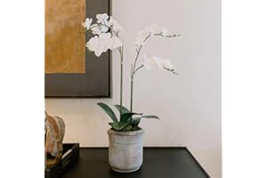 CG Hunter Faux White Orchid Plant, Premium Artificial Indoor Flower Display Stands 24”, Beautiful Sculptural Blooms That Lasts Forever, Grey Planter Pot Included