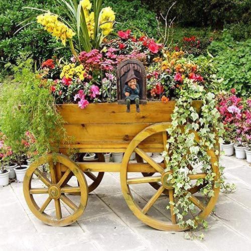 A humorous gnome ornament for the backyard, priced at $15.99 as of August 9, 2023.