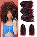 3 pcs/pack Crochet Curly Hair 8 inch Synthetic Crochet Braids Hair Extensions(#1/Bug)