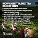 Teabox Nilgiri White Tea, Tropical Fruit Flavoured | Certified Organic, Fresh, Exotic, Smooth Herbal Tea Selection | Unblended Single-Origin Loose Leaf Teas | Ethical & Fair Trade | Set of 16 Tea Bags