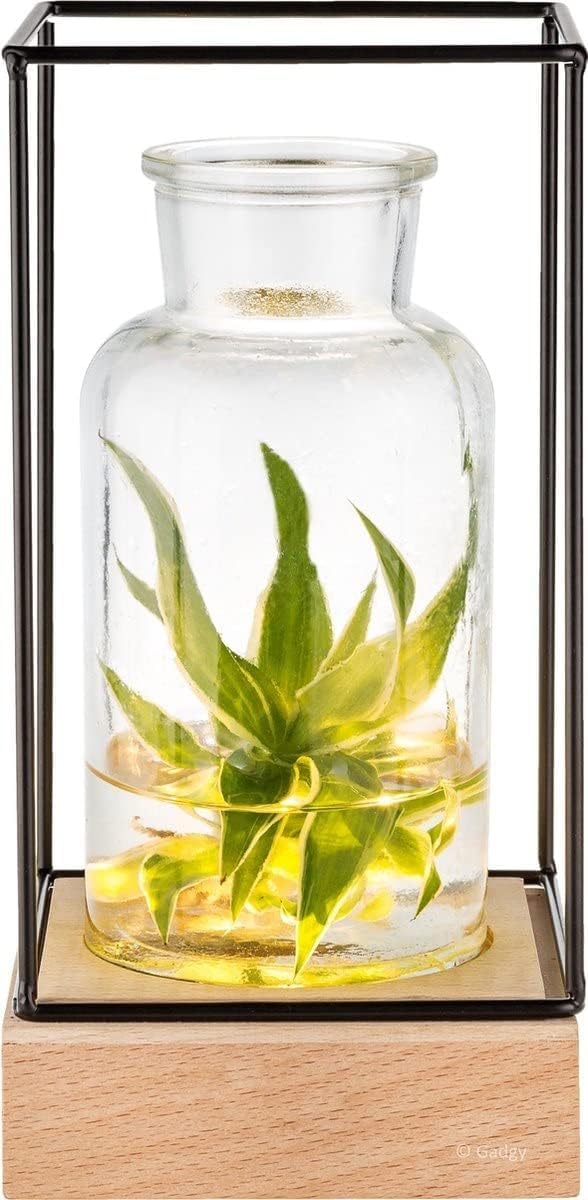 Gadgy® Illuminated Glass Vase - LED Flower Vase for Living Room Decoration Modern - Glass Vase Scandinavian Decoration - Diameter 8 cm Flower Vase Modern - Decorative Plants Vase for Flowers - 22 x 11