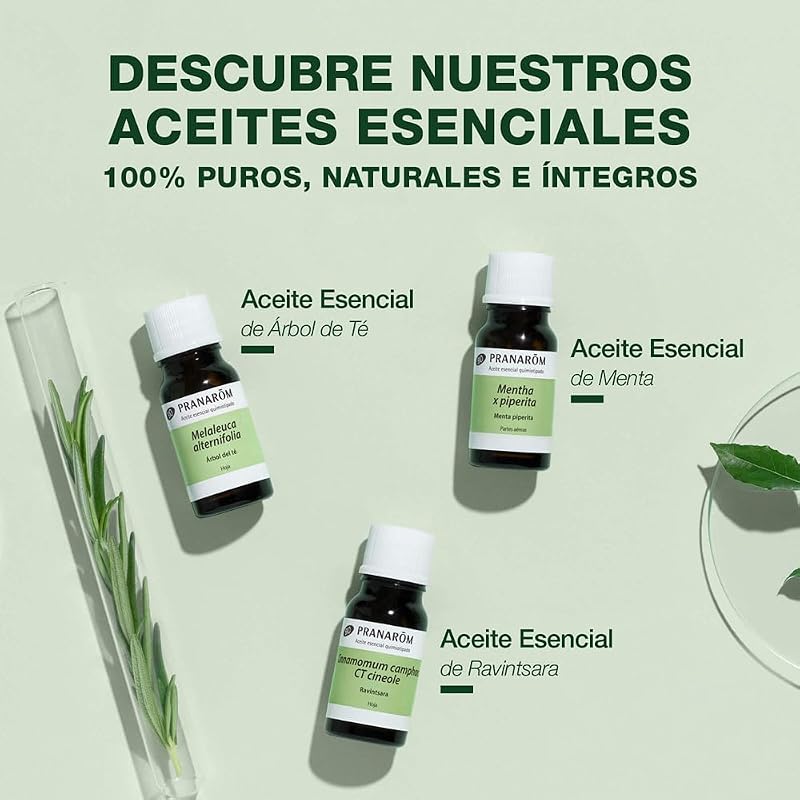 Aceite Esencial Árbol de Té BIO 30 ml – Defensas Naturales HECT