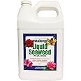 Maxicrop 1-Liter Seaweed Plus Iron