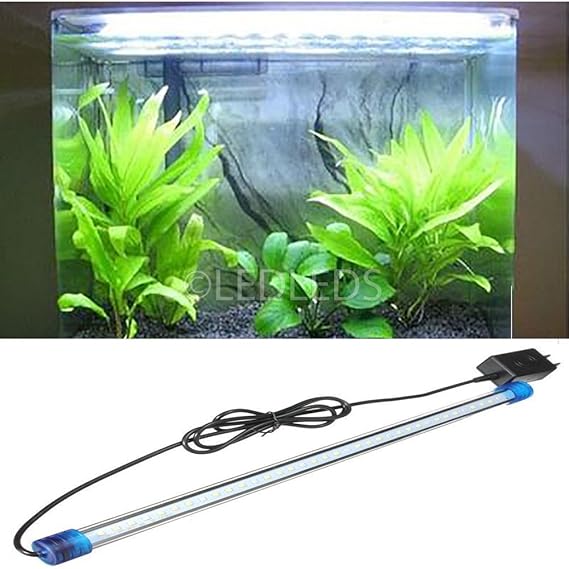 luce acquario led o neon