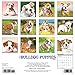 Just Bulldog Puppies 2017 Wall Calendar (Dog Breed Calendars)