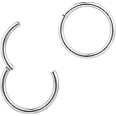 365 Sleepers Titanium Implant Grade Nose Rings 20G 18G 16G 14G 12G 10G 8G 6G Septum Jewelry Hinged Segment Ring Body Piercing Hoop Lip Rings Helix Cartilage Rook Earrings Nickel Free Hypoallergenic